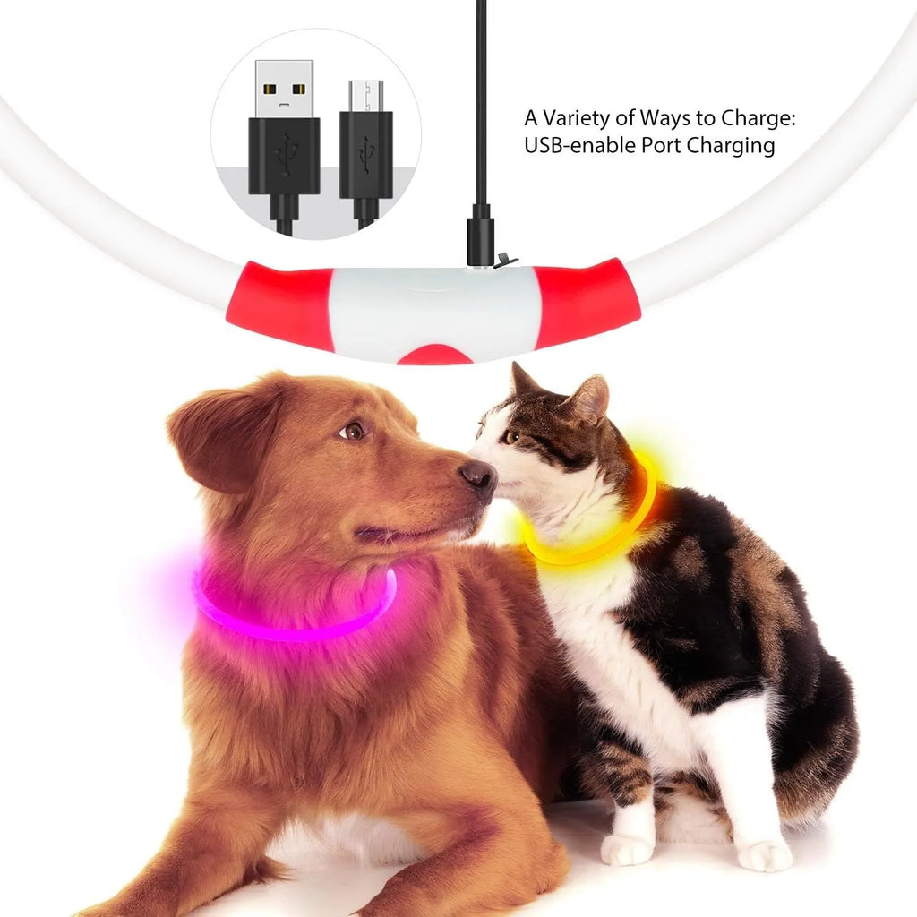 USB rechargeable LED dog collar glowing blue with adjustable 70cm length for night-time pet safety
