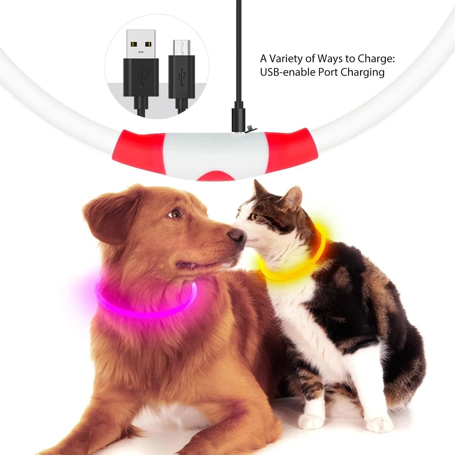 USB rechargeable LED dog collar glowing blue with adjustable 70cm length for night-time pet safety