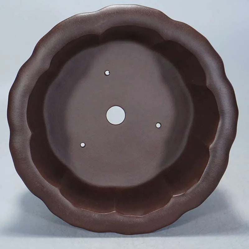 Purple sand succulent flower pot with petal basin design measuring 37x37x20cm
