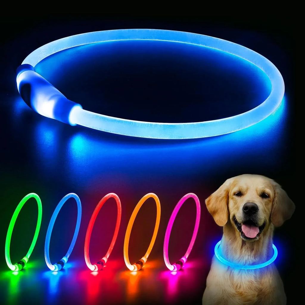 USB rechargeable LED dog collar glowing blue with adjustable 70cm length for night-time pet safety