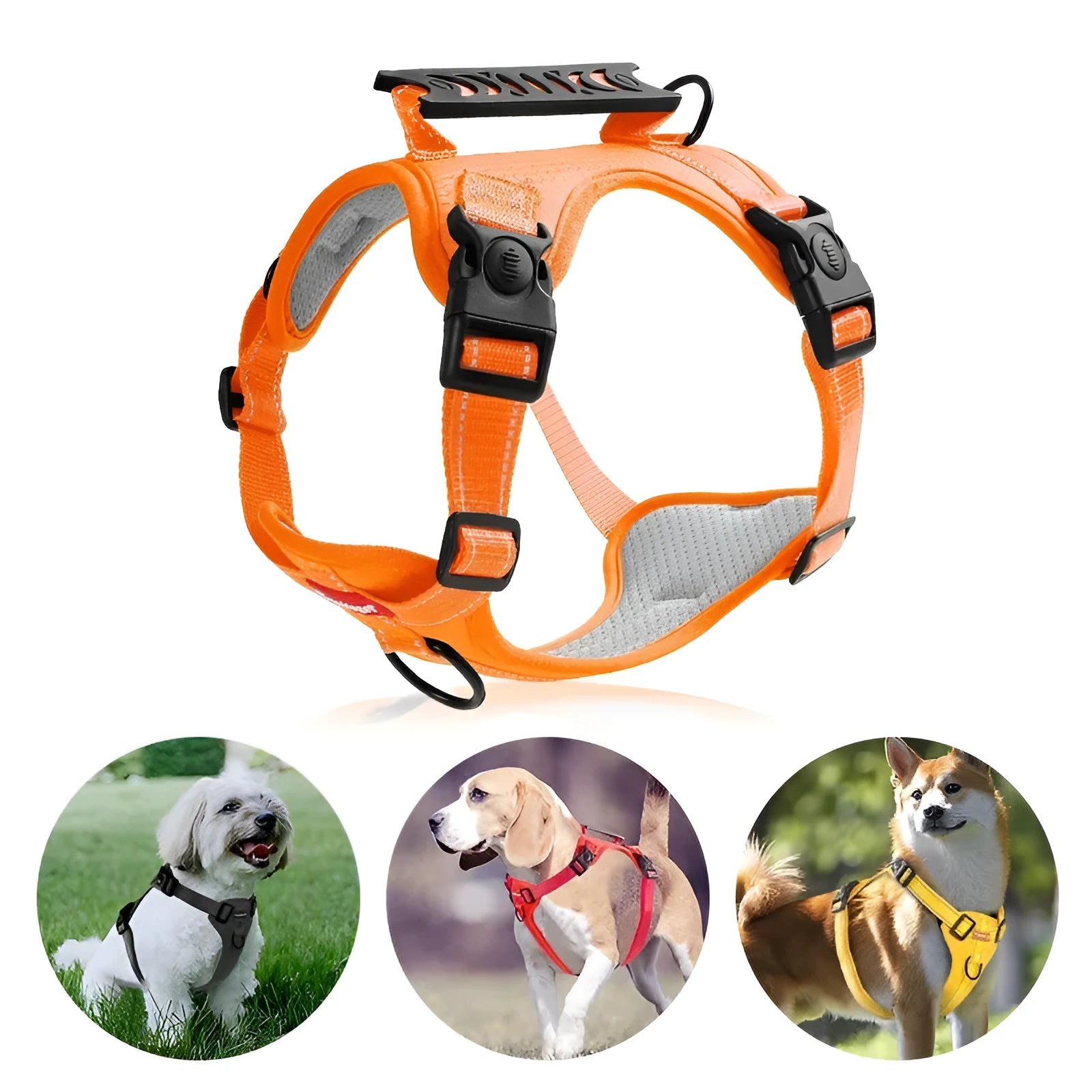 Adjustable dog chest harness and leash set in multiple colours and sizes