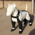 Black waterproof non-slip dog shoes made from polyester fabric