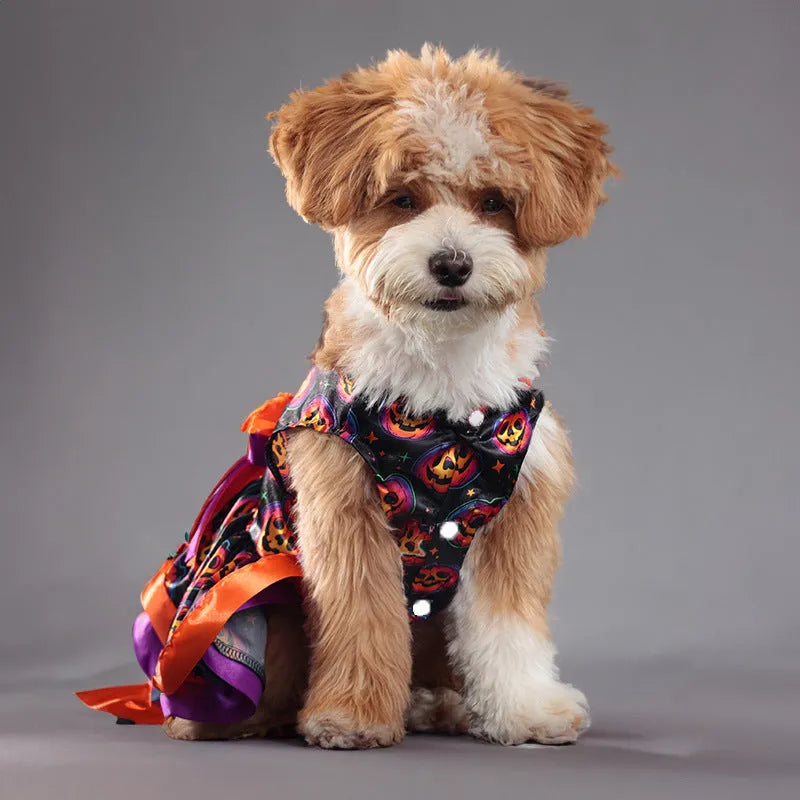 Colourful double-layer Halloween skirt for a dog, showing pumpkin and skull pattern options.