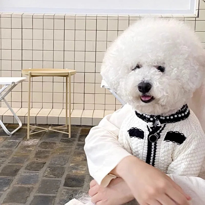 Korean style puppy sweater with princess collar in white colour on small dog model