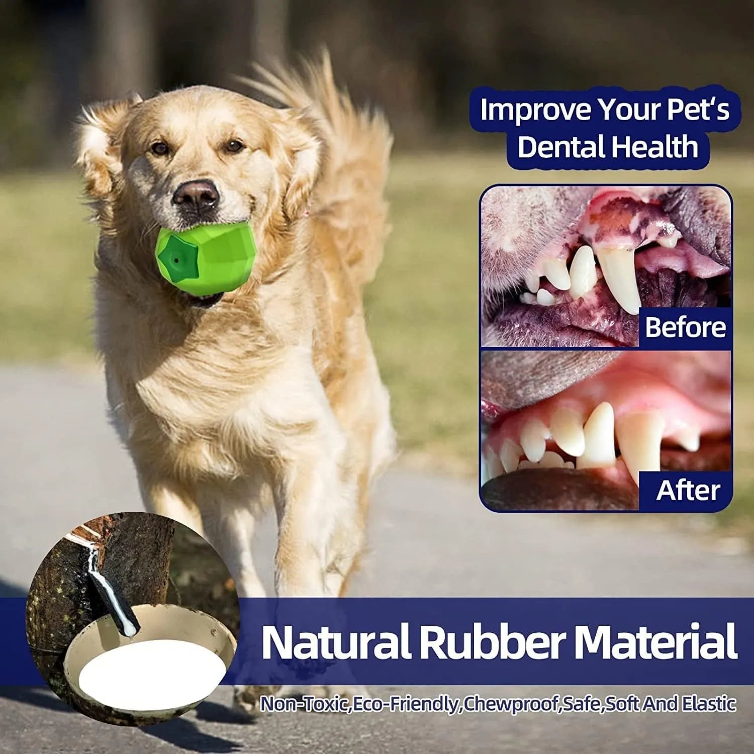 Green natural rubber dog squeaky toy ball for aggressive chewers with beef flavour