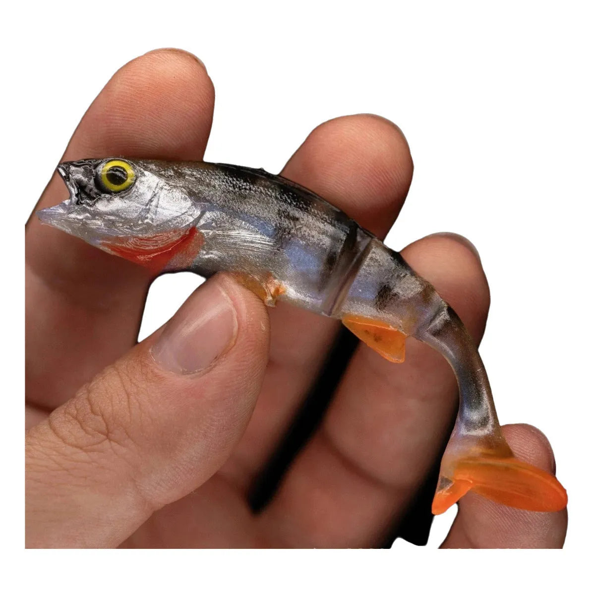 Fish T tail soft fishing lure with realistic fish pattern design for sea and freshwater fishing