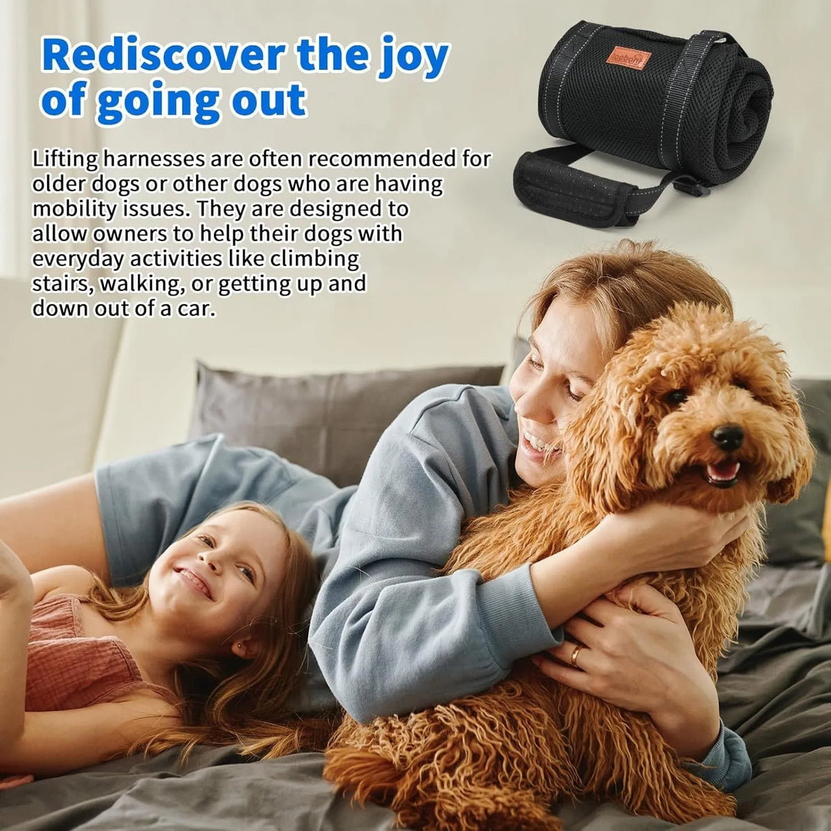 Adjustable dog mobility sling under a dog's hindquarters with reflective nylon straps and a padded liner.