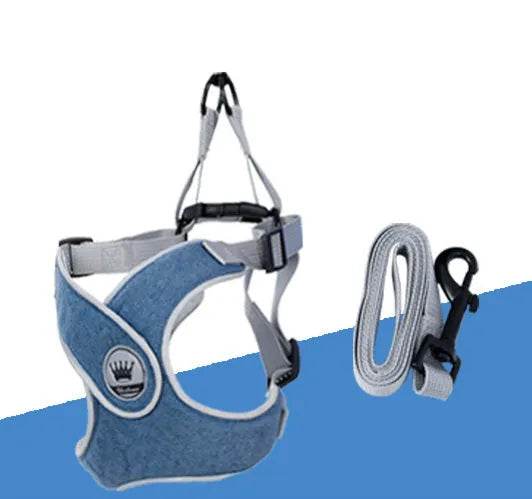 Adjustable breathable mesh dog harness vest with metal D-ring on a pet.