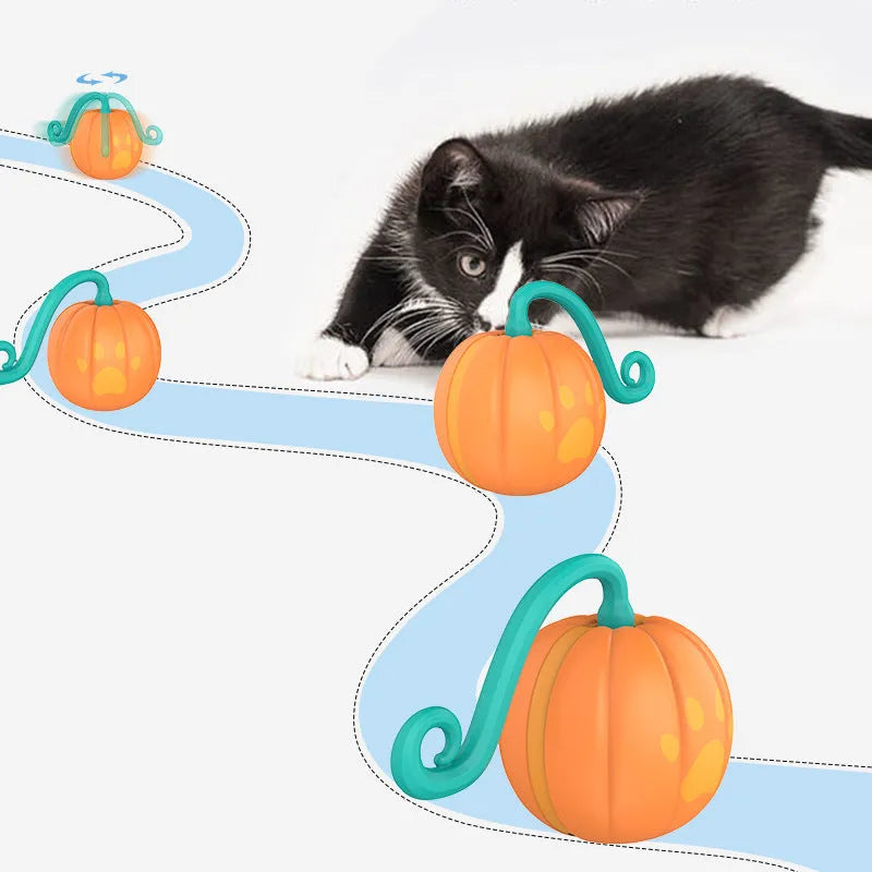 Automatic LED cat toy ball in watermelon green and pink or pumpkin orange design