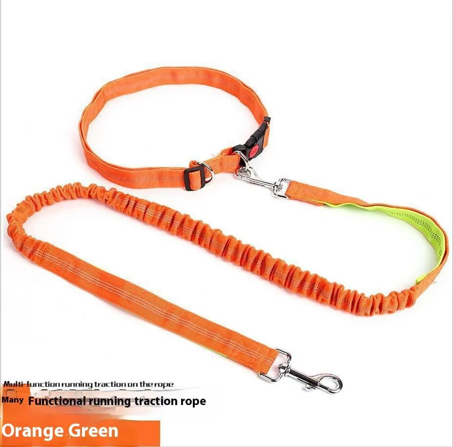 Reflective elastic dog leash in grey and green colour combination measuring 2.5cm wide