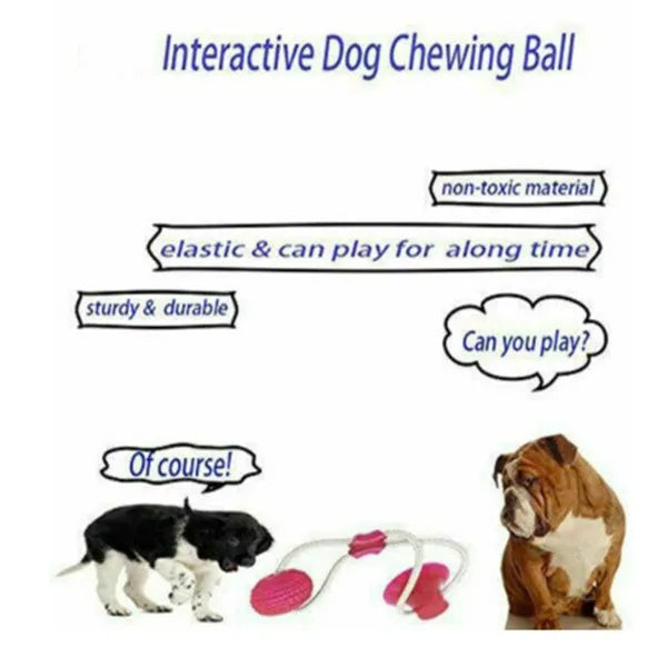 Dog biting sucker multifunction pet molar bite toy made from plastic, rubber, TPR and cotton fibre rope for dogs
