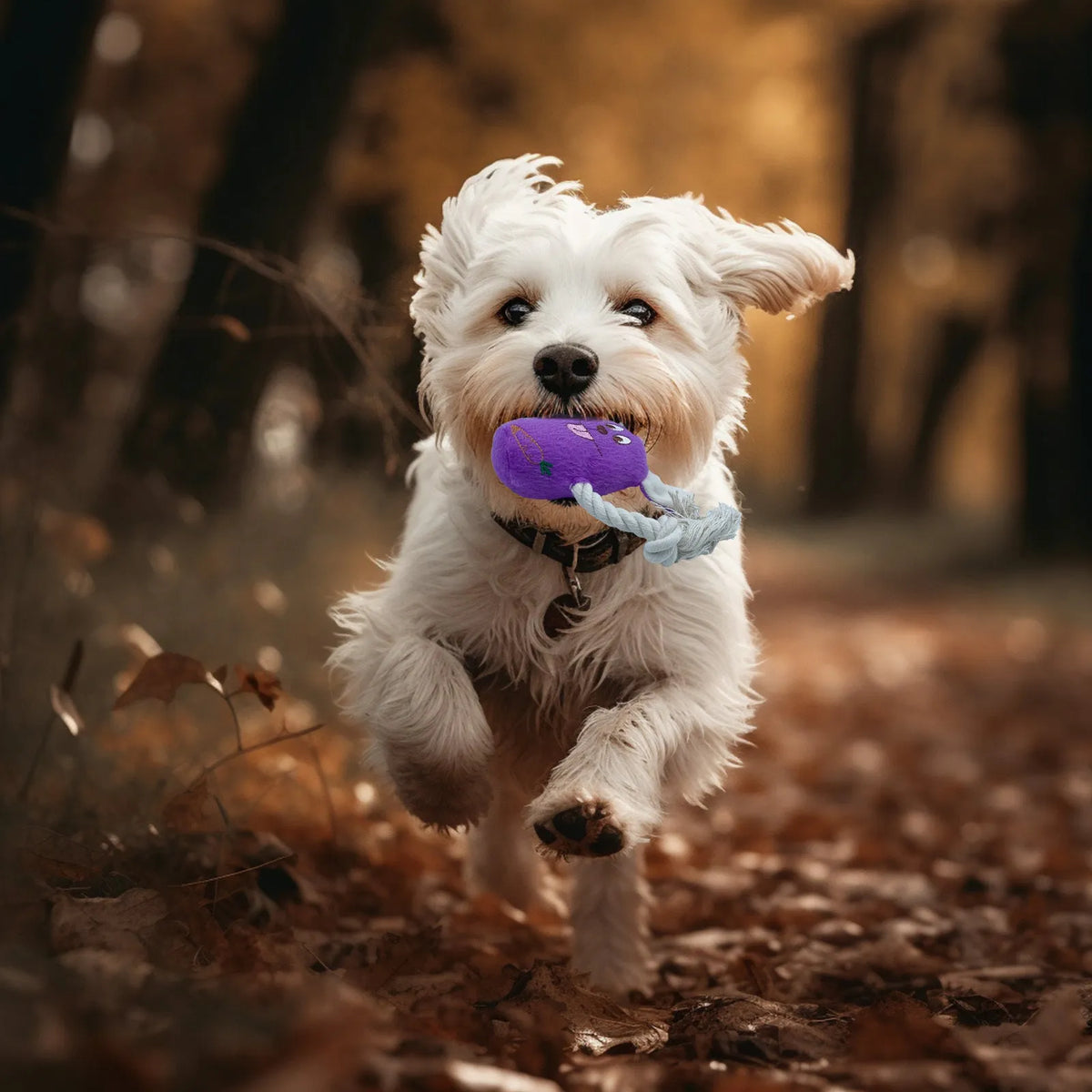 Blue teddy dog toy with a squeaker bone model, showing soft plush and corn fleece lining.