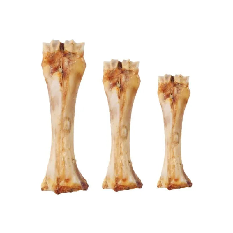 Puppy molar rod dental chew in three sizes with high calcium and roasted ox bone flavour