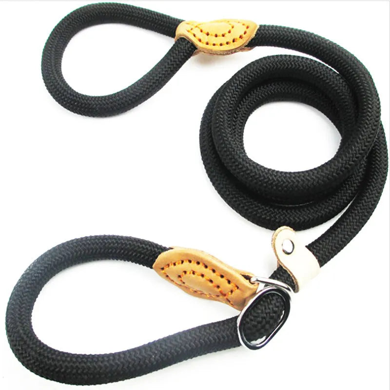 Brown nylon P chain hand holding dog leash showing 2.1 metre length and thickness options