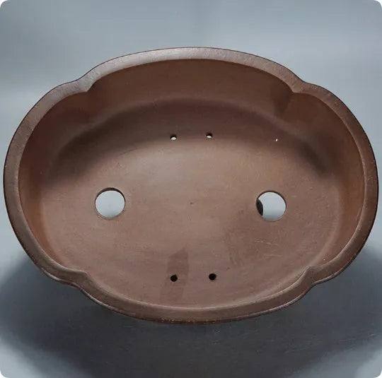 Classical purple clay bonsai pot measuring 50 cm wide with natural ceramic texture