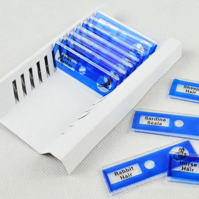 Plastic microscope slides with prepared biological specimens in red, green, yellow, and blue colour-coded categories