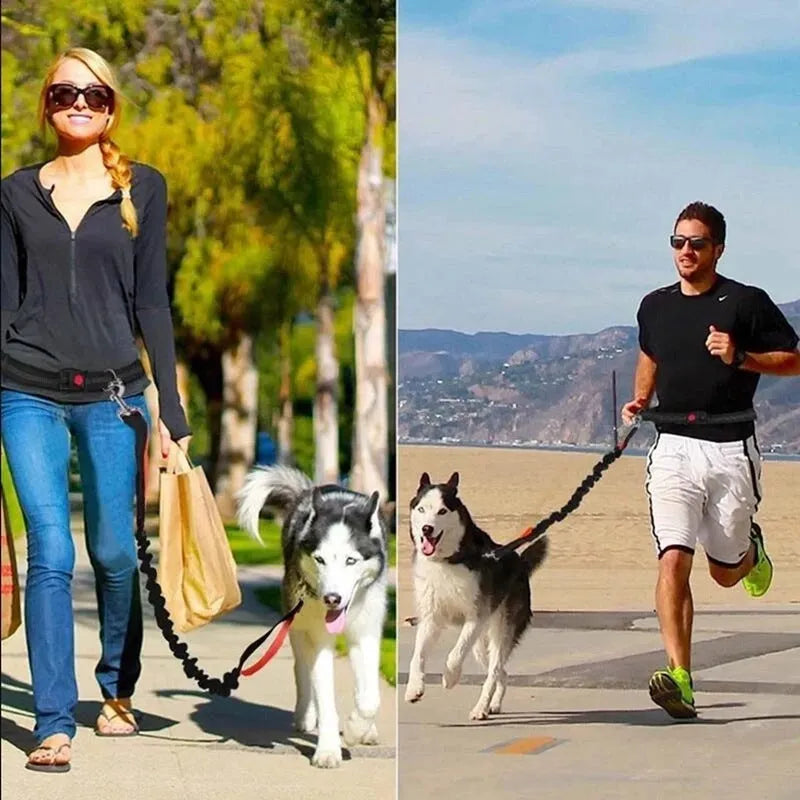 Adjustable nylon dog leash for jogging and walking, one size, in fluorescent green, orange, or light blue