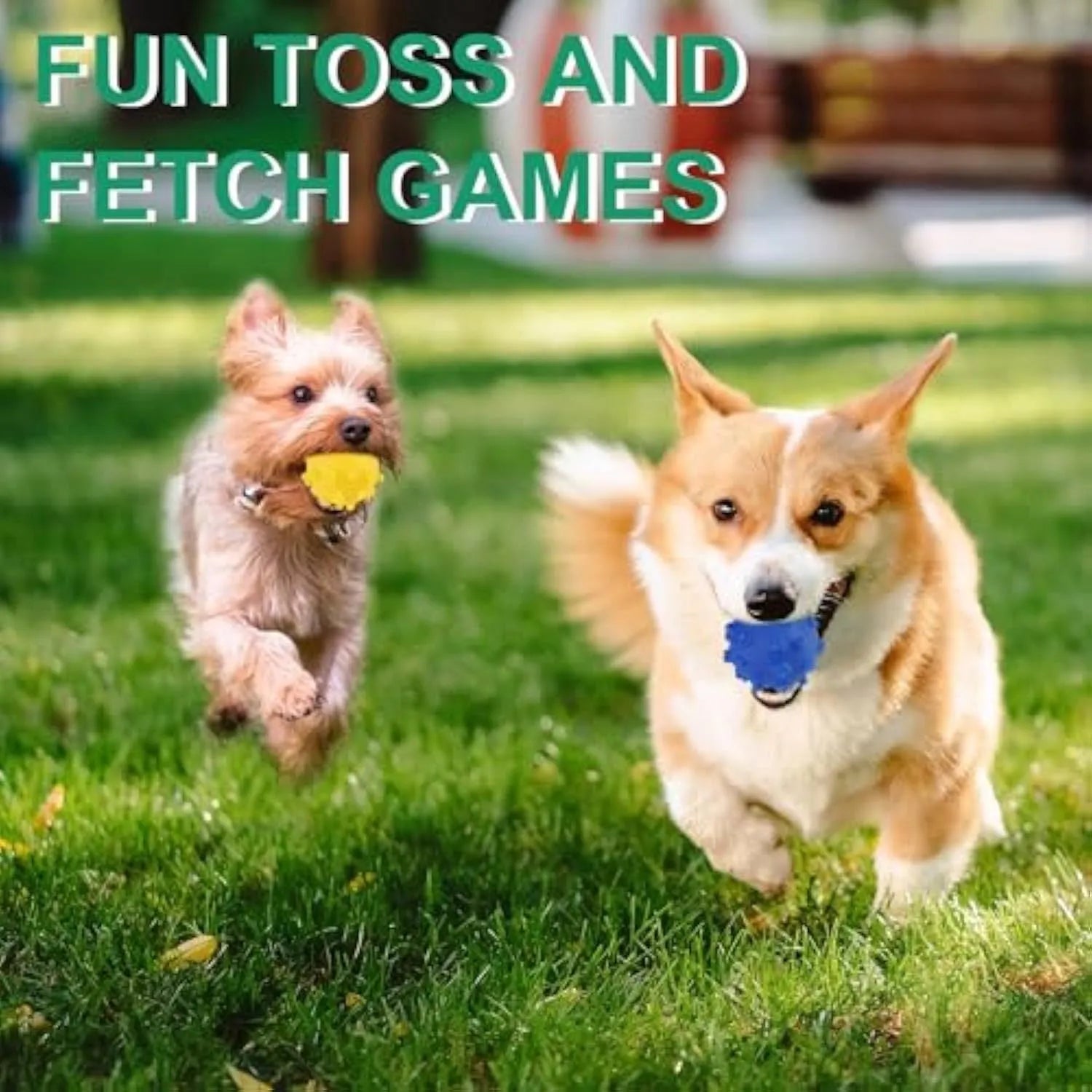 Set of four brightly coloured spiked squeaky dog balls on a blue background