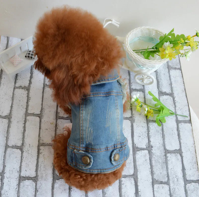 Denim dog vest with scratch pattern design for small breeds in dark and light colour options