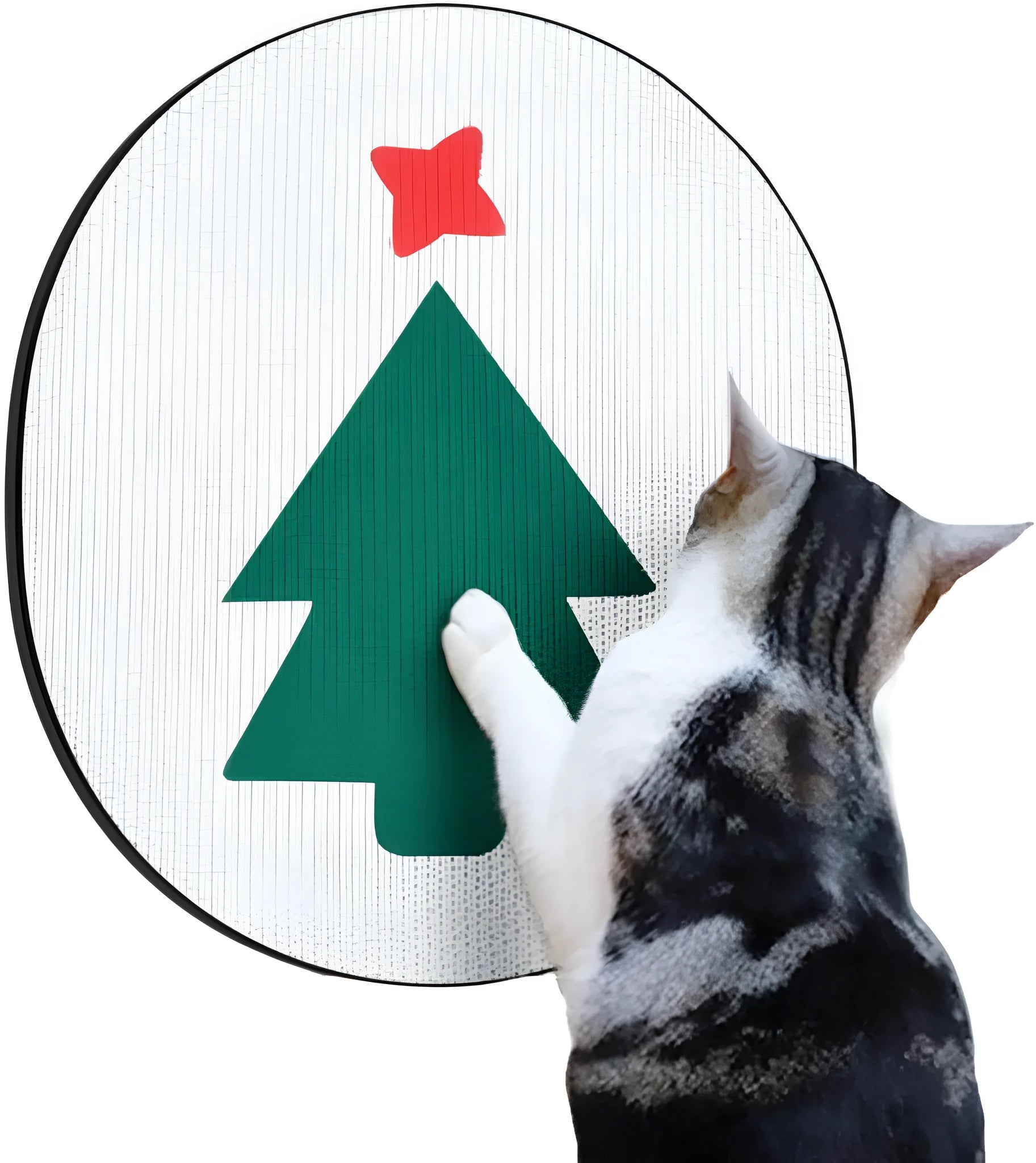 Wall-mounted corrugated cardboard cat scratcher pad on a wall, showing one of four design options.