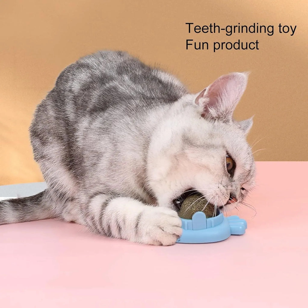 Blue carrot-shaped catnip ball with self-adhesive backing for wall mounting to clean cat teeth