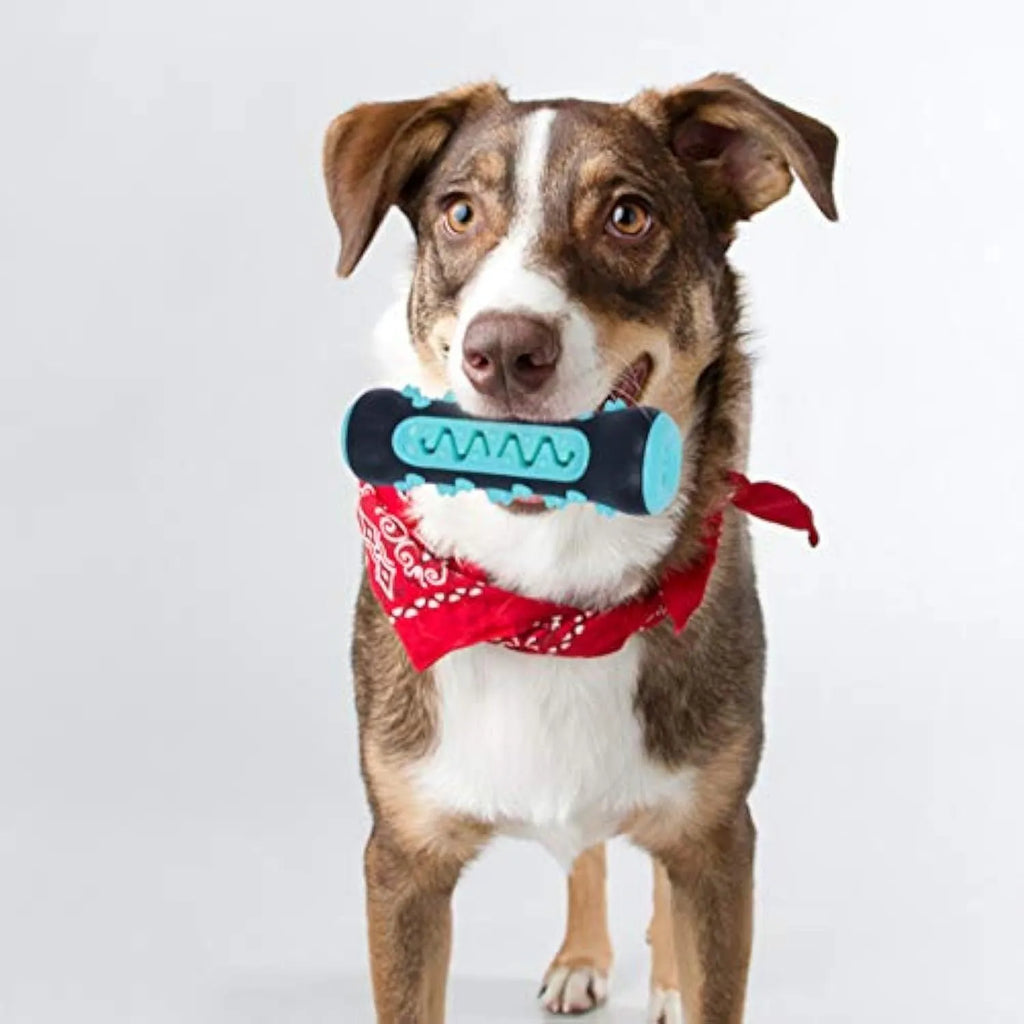 Natural rubber dog dental chew toy in blue, shaped like a toothbrush with cleaning ridges.