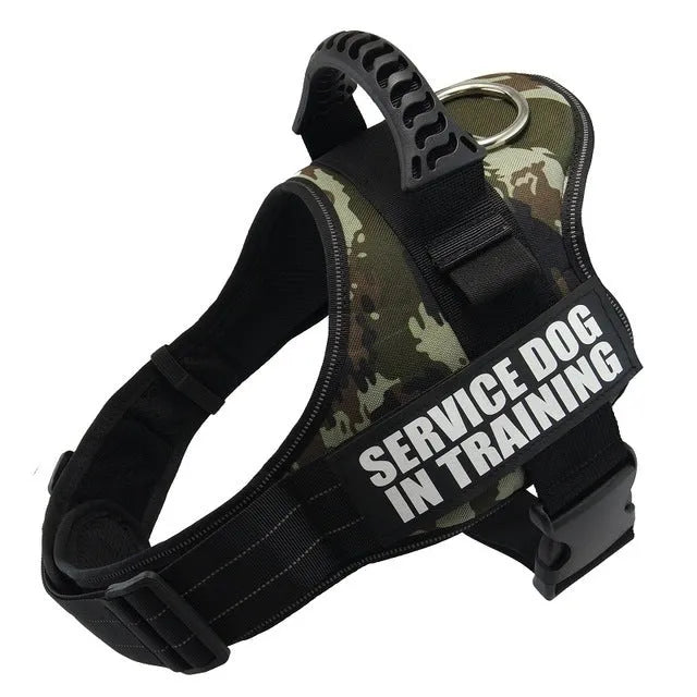 Adjustable nylon dog harness with reflective strips and a sturdy handle on a dog.