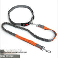 Reflective elastic dog leash in grey and green colour combination measuring 2.5cm wide