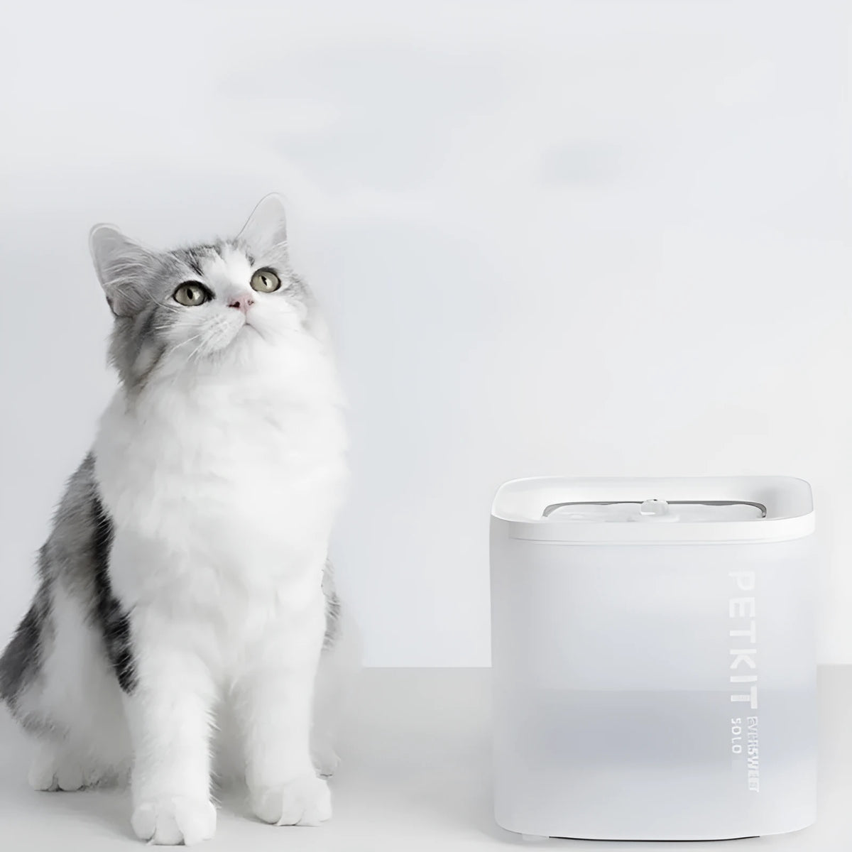 Xiaopei SOLO2 smart pet water dispenser with wireless filter for dogs and cats