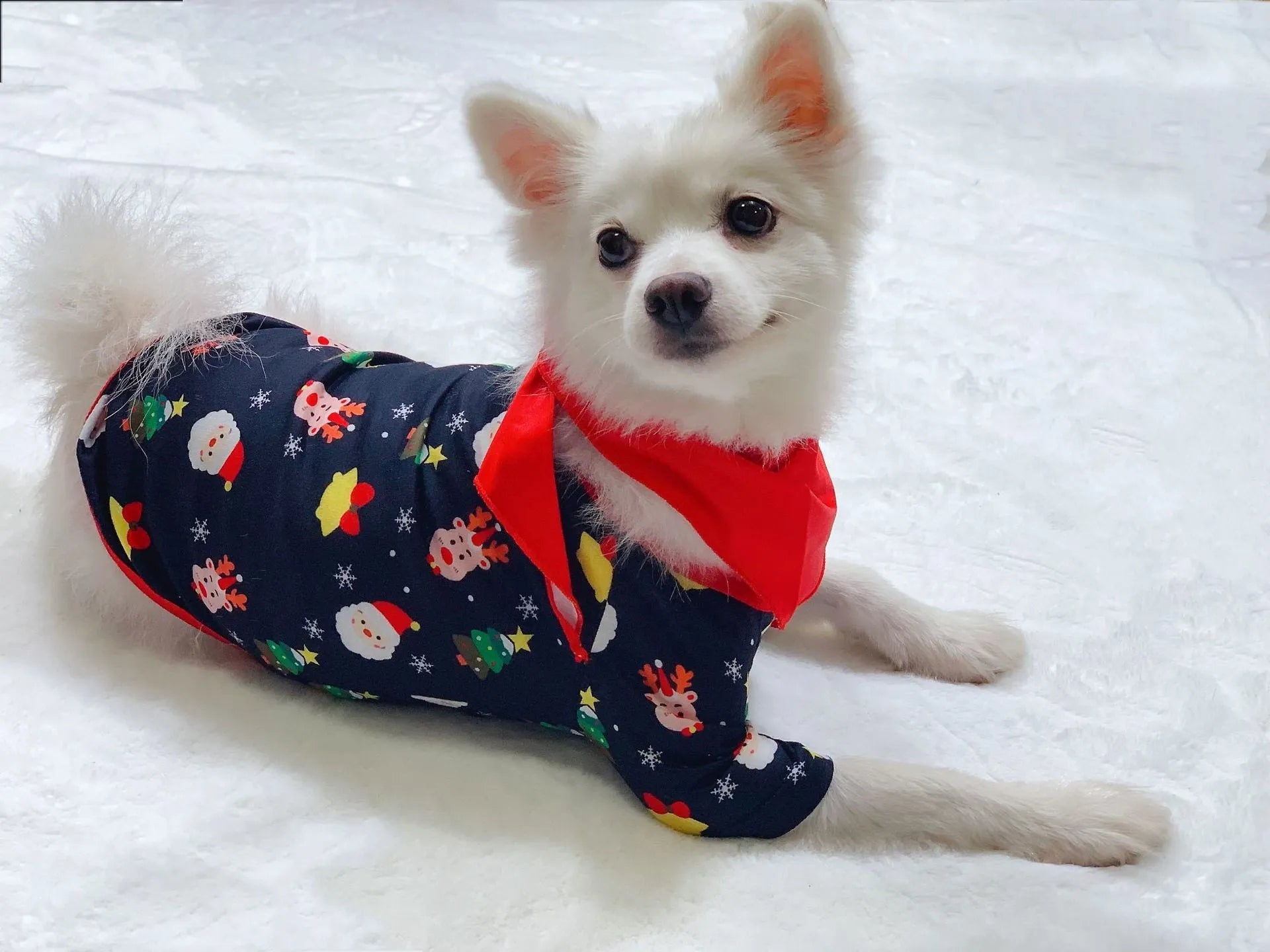 Matching family Christmas pajamas set for parents, children, baby and dog on sofa