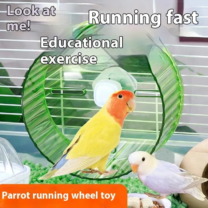 Plastic parrot running wheel toy in transparent colour showing rotating treadmill mechanism