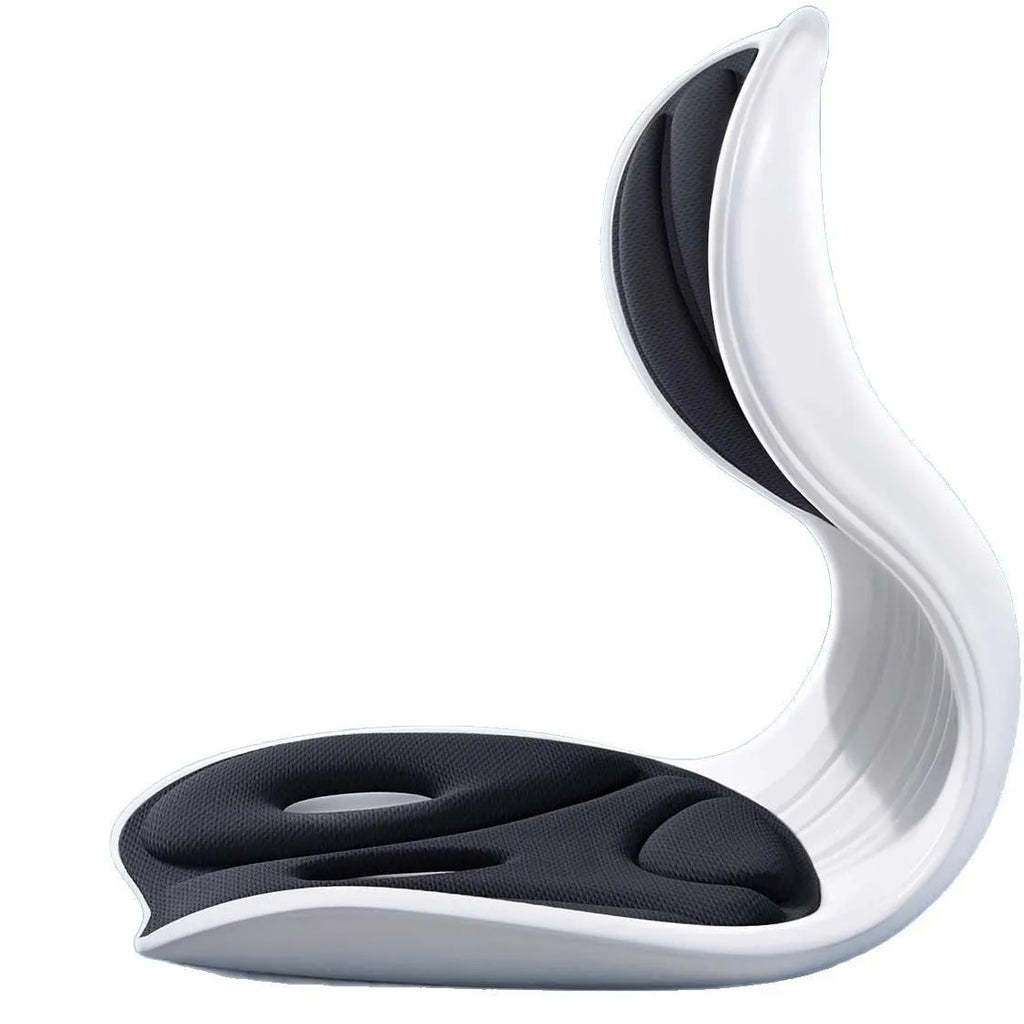 Grey and black lumbar support seat cushion with sponge filler and PE cover.