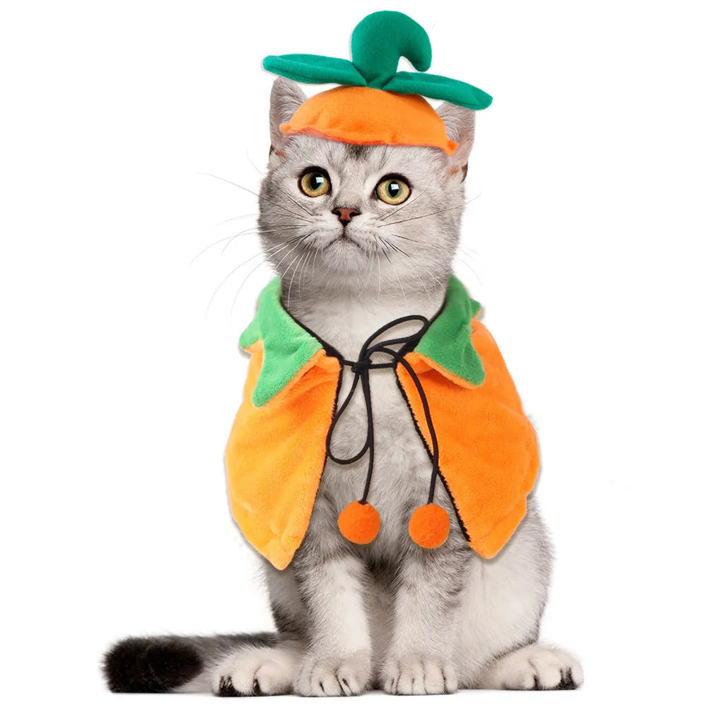 Orange double-sided pumpkin cloak costume on dog or cat with plush material and Halloween ornaments