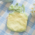 Small dog wearing blue elastic vest with heart pattern and bow suspenders