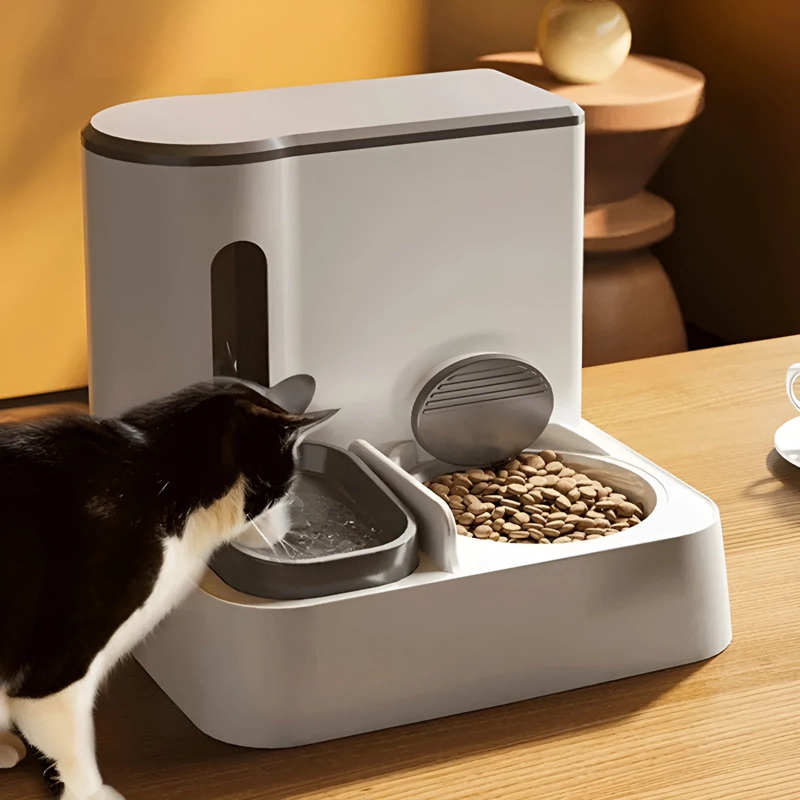 Automatic cat feeder and water dispenser with integrated double bowl in grey, green or yellow colours