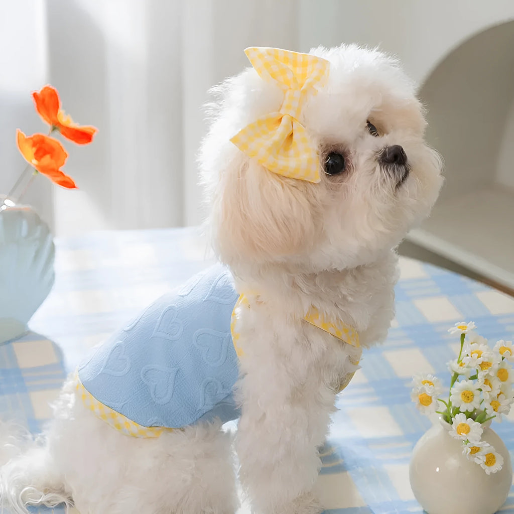 Small dog wearing blue elastic vest with heart pattern and bow suspenders