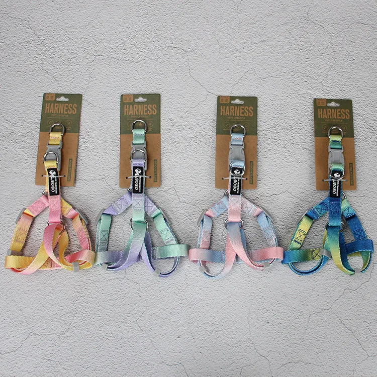 Nylon dog leash and matching gradient colour collar set for pet walking
