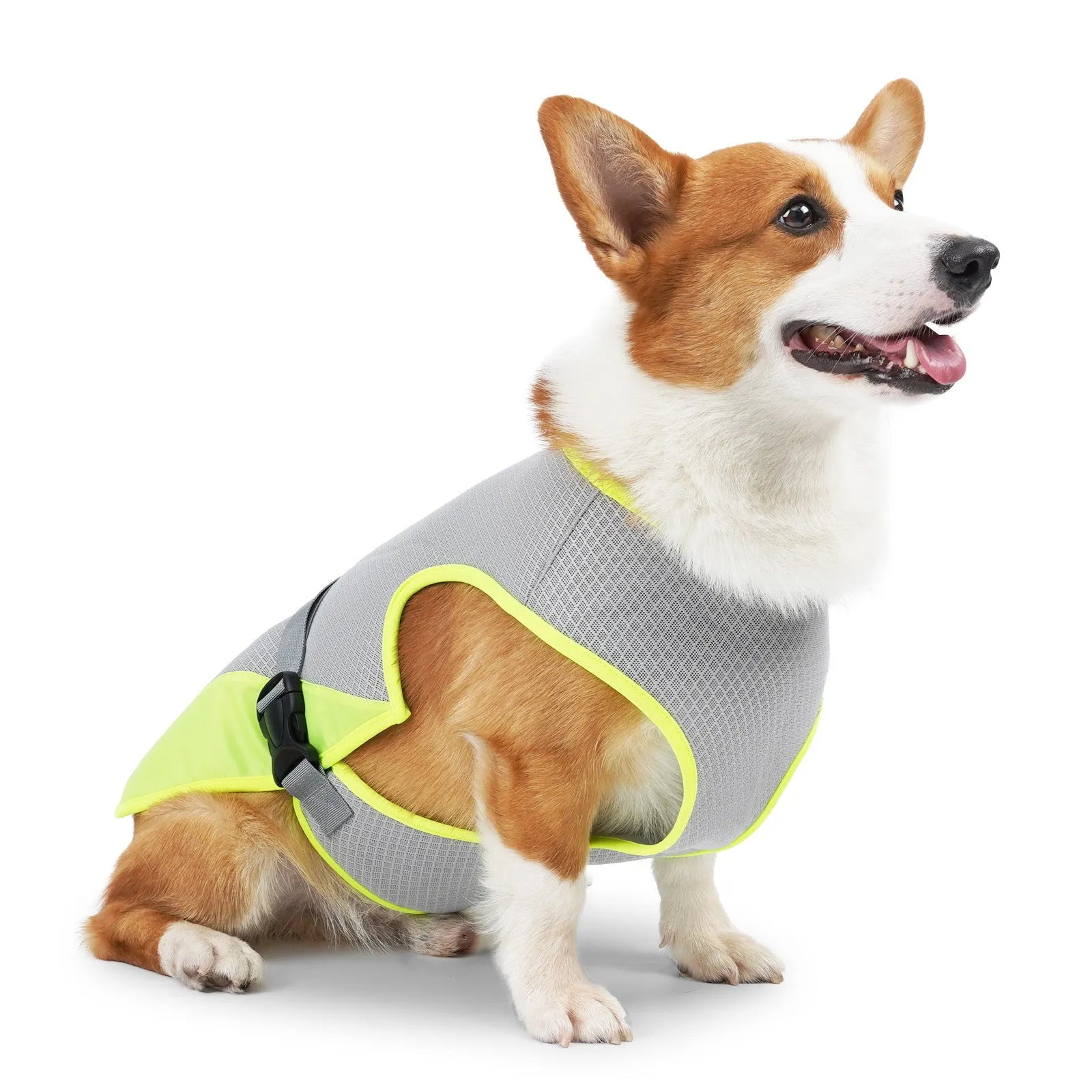Light gray polyester dog cooling vest on a model dog, showing adjustable fit and breathable material.