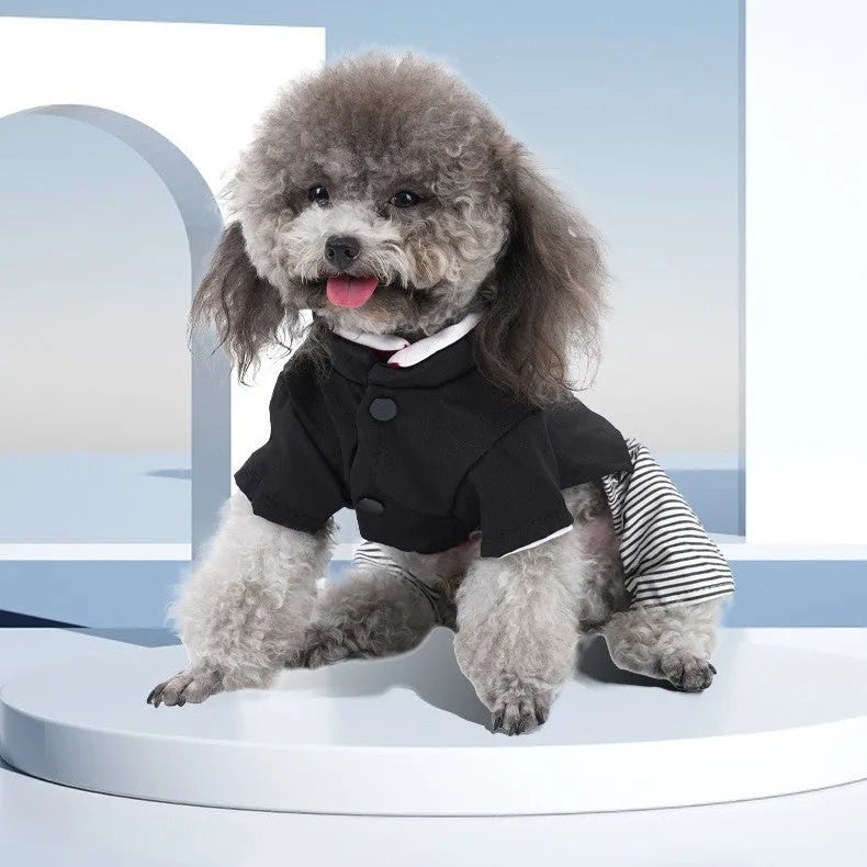 Thin cotton poodle dog clothes available in skirt or four-foot pants styles for seasonal wear