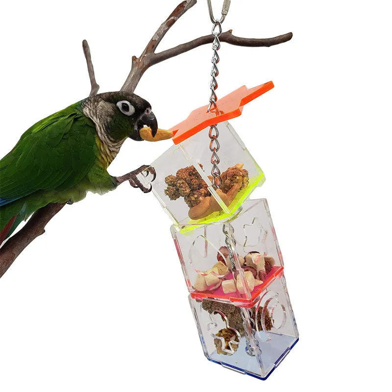 Clear acrylic parrot foraging toy measuring 5x5x32cm for bird enrichment with fruit and nuts
