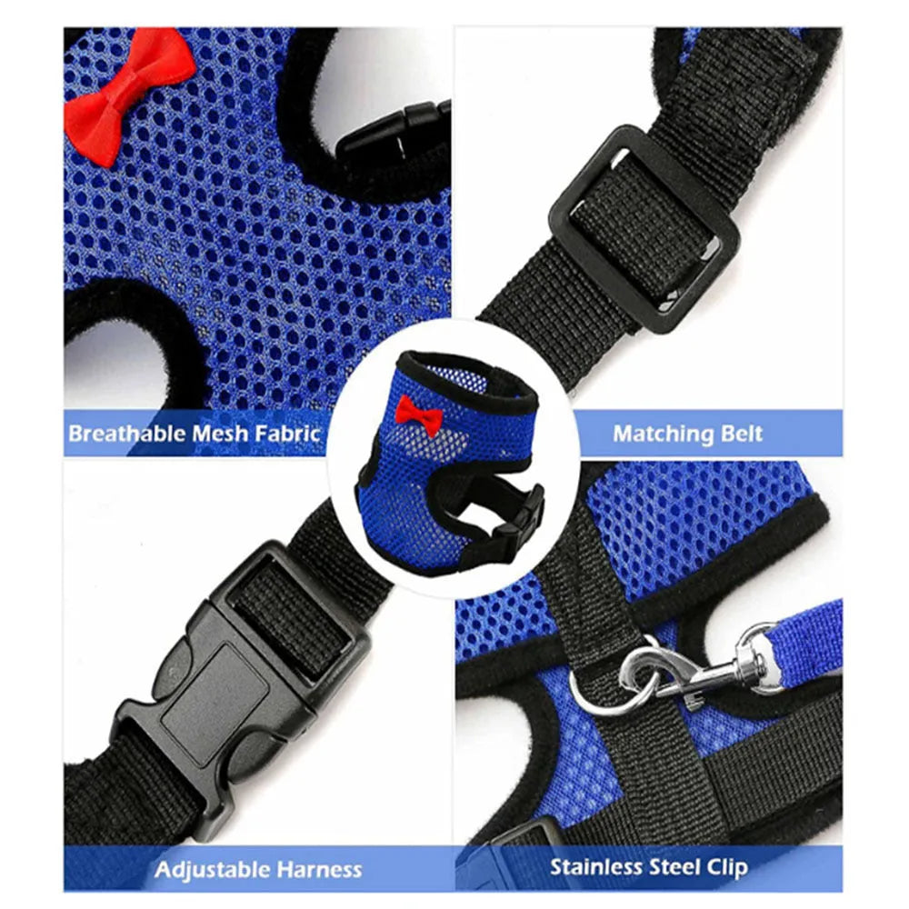 Adjustable chicken vest harness with matching bow collar and traction rope for poultry
