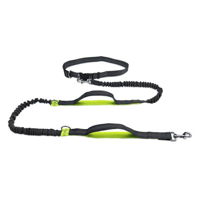 Adjustable nylon dog leash for jogging and walking, one size, in fluorescent green, orange, or light blue