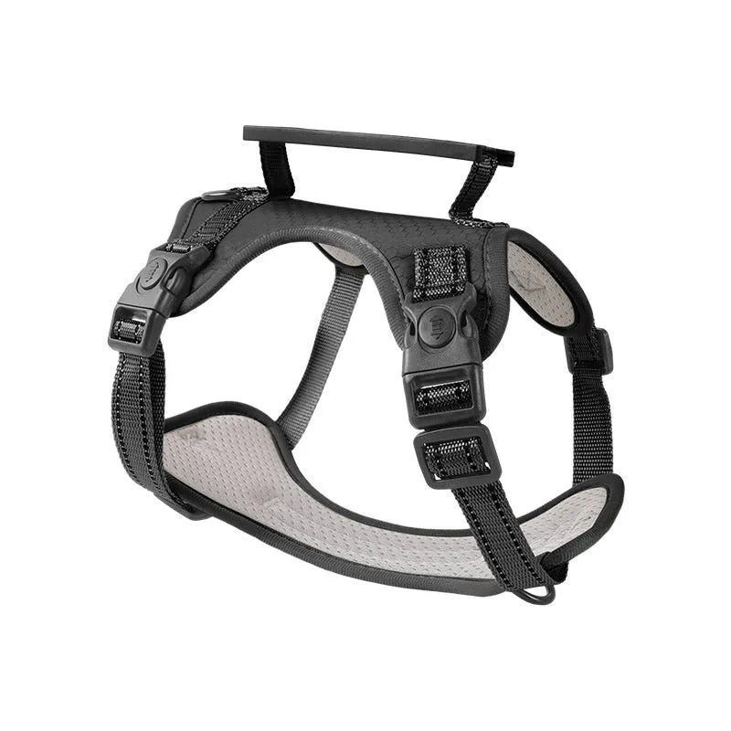 Adjustable dog chest harness and leash set in multiple colours and sizes