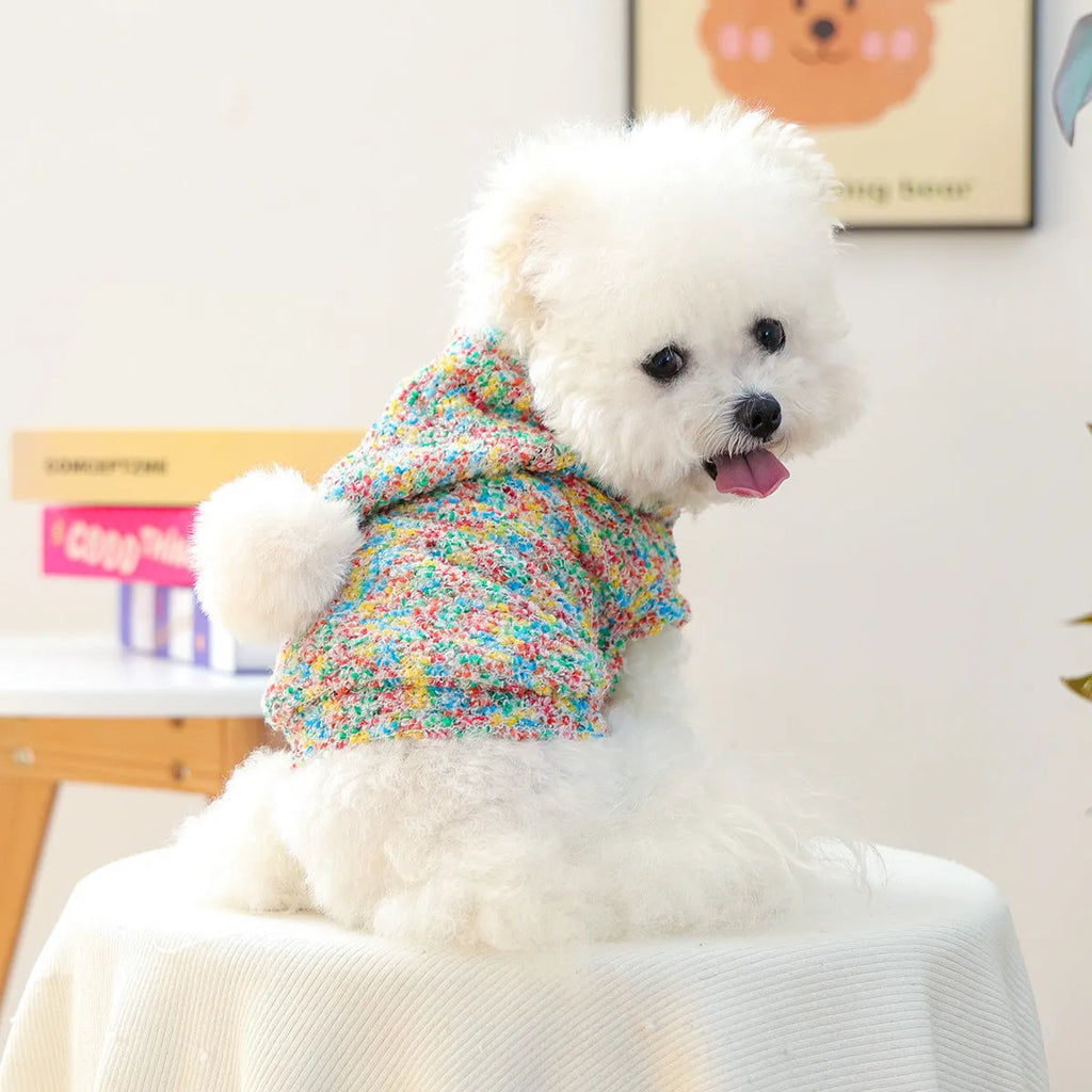 Candy coloured polyester pet hoodie for small puppy dog or cat in unisex style sizes XS to XL