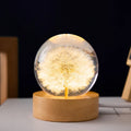 3D dandelion inside crystal ball night light on beech wood stand, USB cable attached