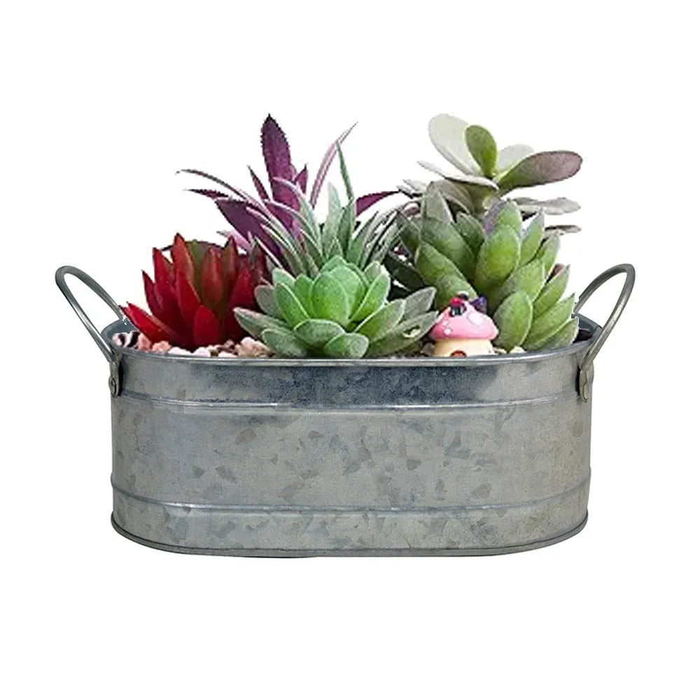 Iron sheet succulent flower pot for desktop use with corrosion-resistant construction