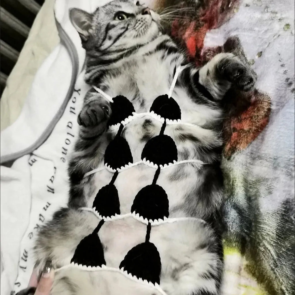 Cat wearing sweet style bikini costume in multiple colour options for Halloween and festivals