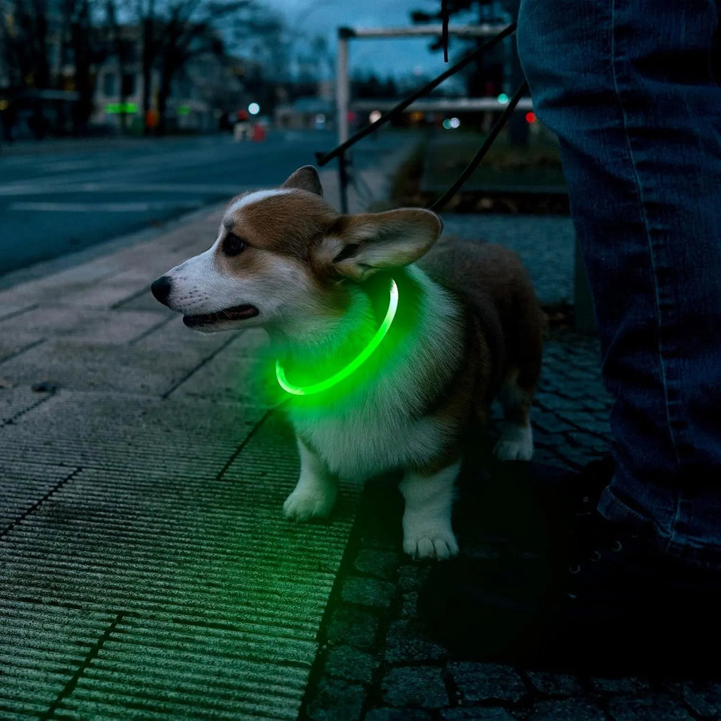 USB rechargeable LED dog collar glowing blue with adjustable 70cm length for night-time pet safety