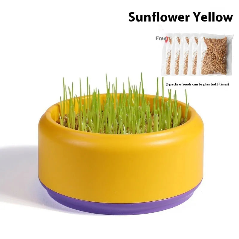 Blue, green, and yellow hydroponic cat grass cups with five packs of seeds on a white background