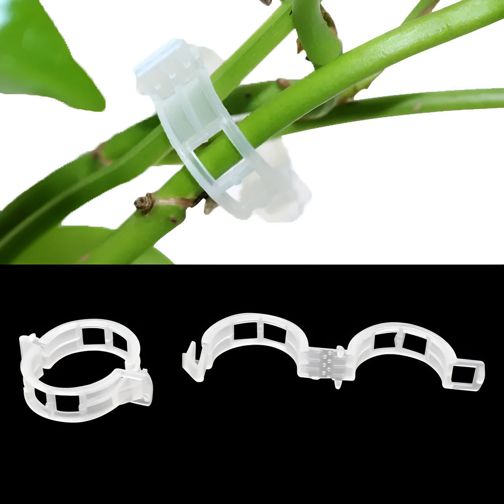 Pack of 50 plastic plant grafting clips in assorted colours for securing tomato stems.